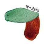 책마을해리(本の村ヘリ)